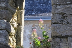 20210612_Piriac