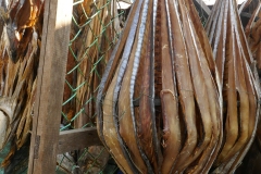 P1040637