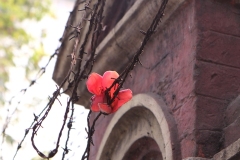 DSCF0714-1643478405135