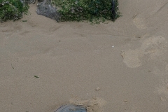 DSCF8747-1643478410055