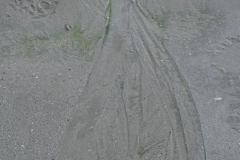 DSCF9331-1-1643478412598