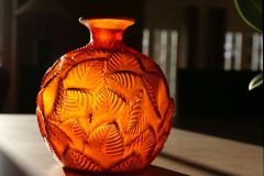 IMG_3353