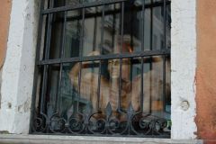 venise020