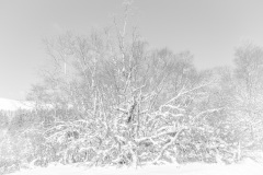 Jacques-Blanc-4