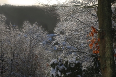 Blanc-de-ma-fenatre-4