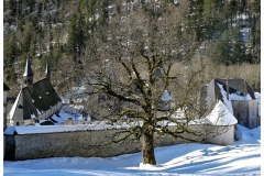 01-DSC04526