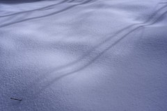 Theme-Blanc-2022-03-07-3