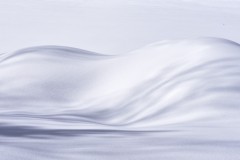 Theme-Blanc-2022-03-07-5