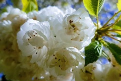 20180420_102920