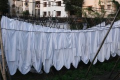 Vittoria-DM-Blanc-4