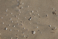 Philippe-S-Textures-1-IMG_5270