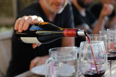VIn-Vigne-1