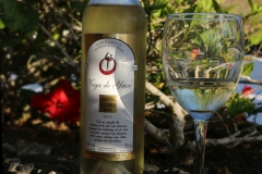 Vin2