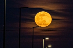 Lune