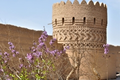 YAZD