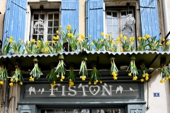 picod_fleur_10