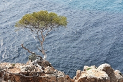 Perseverance-2