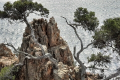 Perseverance-4
