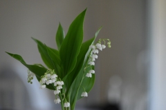picod_16-mai-22_10