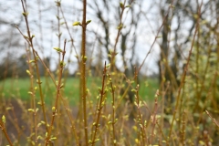 picod_16-mai-22_15