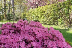 02_Printemps_Chevry_20220415_121824_red