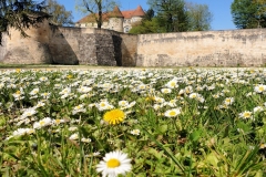 04_Printemps_Saint_Dizier_20220416_144506_red