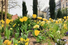 05_Printemps_Arcueil_20220412_172340_red