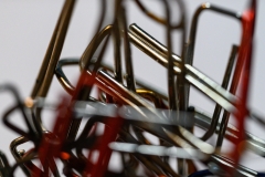 AC-Macro-_DSC2084