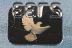 AC-Macro-_DSC2085