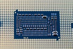 AC-Macro-_DSC2086