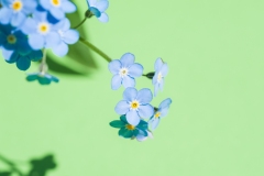 20090430-_DSC4780