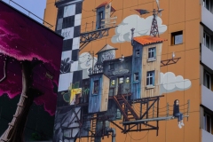 DSCF0866