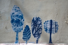 Image00004