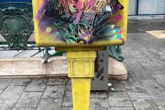 C215 auteur