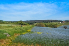 6-14052022-DSCN2979
