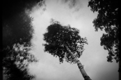 PauseLongue-2