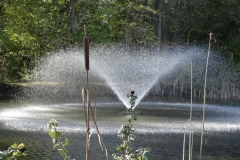 2022_09-Eau_picod_03