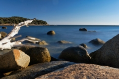 DSCF9287-D
