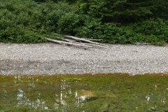 1_ERICVIGO_20160810_La-Foret-lAnse-aux-Griffons-CA-Qc_P1020082_-3Mo