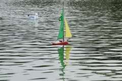 Vittoria-Eau-3