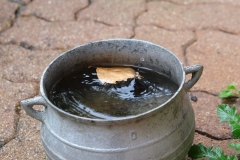 Vittoria-Eau-4