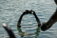 11072020-_RCM0936