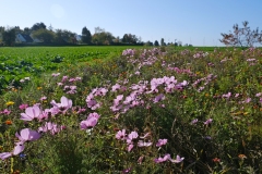 04__Voisins_DSCF1448