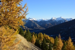 BernardG-Meleze-octobre-2_02