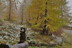 BernardG-Meleze-octobre-3_03