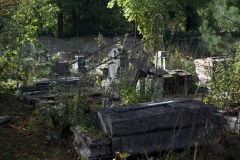 PA220220.ORF_