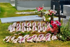 claude-G-cimetiere-3