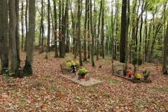 IMG_0137-copie
