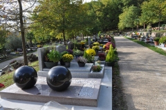 6.-GIF-sur-Yvette