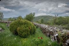 JaM-Cimetieres-2